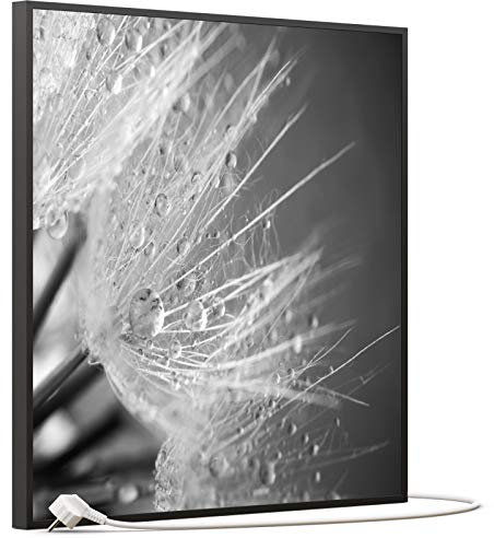 STEINFELD Bild Infrarotheizung mit Thermostat | Made in Germany | viele Motive 350-1200 Watt Rahmen schwarz (350W, 063 Löwenzahn)