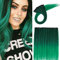 10Pcs 20 Rainbow Color Straight Hair Extensions Clip in Multi-Color Synthetic Coloured Clip on Hair Extension Party Highlights Hairpiece #Black& Dark Green