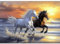 MEIYUDA 5D Diamond Painting Bilder Erwachsene Pferde, Diamond Painting Set Bild Tier, Diamant Painting Bilder Bastelset Erwachsene Kinder Malerei für Home Wand Décor 40x30cm
