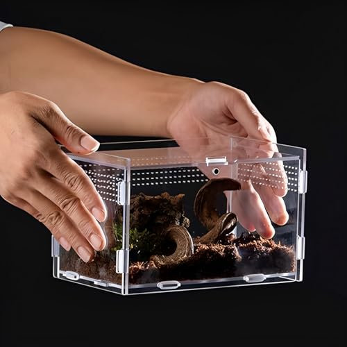 Zyiphor Scatola Alimentazione per Insetti, Acrilico Terrario per Rettili, Spide, Ragni, Lucertola, Scorpione (20x12x12cm)