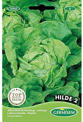Germisem Kopfsalat HILDE 2, mehrfarbig, EC6006