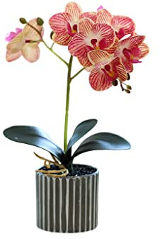 susiodeu Fleur d'orchidée Artificielle bonsaï en Pot Simulation Phalaenopsis décor à la Maison 8 Fleurs Plante pour Mariage extérieur intérieur, Rose