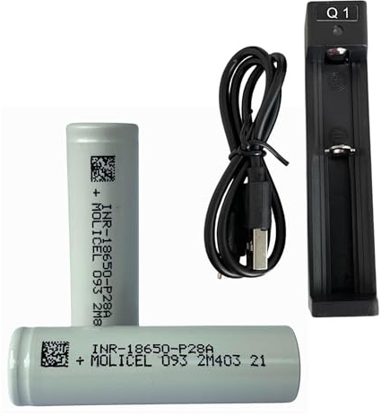 Battery Charger & Molicel Batteries 2800mAh 18650 P28A Rechargeable Cells – 3.7V Grade A and Durable coming in Protective Plastic Storage Case - safety case