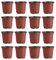 DOITOOL 50PCS Plastic Plants Nursery Pots, Seed Starting Pot Small Flower Plant Containers Transplanting Planter for Home Greenhouse Garden (120mm)