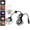 Magical Mist Maker Fogger, 12 LEDs Vernebler für Indoor Halloween Decor
