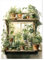 KiKiHong Diamond Painting Erwachsene,DIY Diamond Painting Fensterpflanzen,5d Malen Nach Zahlen für Wand Dekor 30x40cm