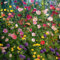 de semillas de flores silvestres semillas de flores silvestres, semillas de lecho elevado flores silvestres prado de flores semillas Jardín de rocas plantas resistentes, flores 500pcs