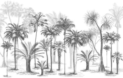 gdkldfg Papier Peint Panoramique Intissé 300x210cm Jungle Tropicale Noir Et Blanc Forêt Palmier Paysage Naturel,Decoration Chambre/Salon,Tapisserie,Poster Murales