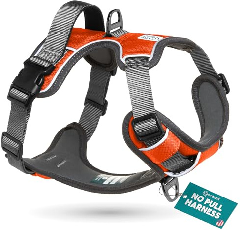 Embark Adventure No Pull Dog Harness, Heavy Duty Vest, Orange Small