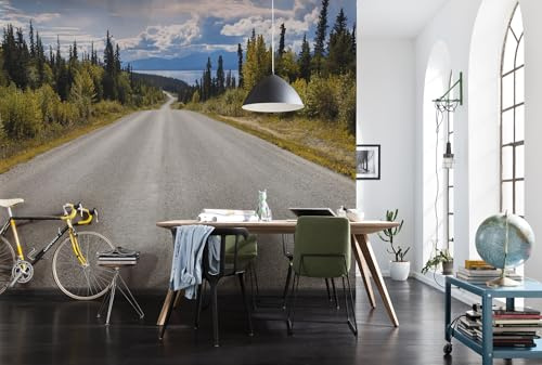 Photo Murale, 368cm x 254cm, Atlin Road