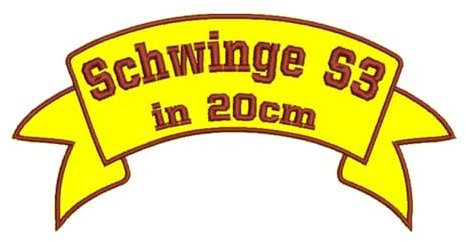 Aufnäher obere Schwinge S3 mit Wunschtext (20x9,7cm)