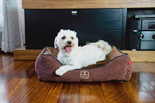 BOUTIQUE ZOO Premium Orthopädisches Hundebett | Größe M: 60 x 50 x 19 cm | Bett für Hunde oder Katzen | Hundesofa, Hundekissen, Hundeliege | abwaschbar Hundekorb | Thermo Isolierung | Farbe: Braun