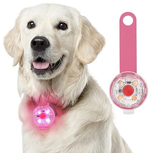 Fttouuy Sicherheits LED Blinklicht für Hunde, Katzen - USB Wiederaufladbar LED Licht Leuchtanhänger Hund, 3 Blinkmodis wasserdichte Sicherheit Haustier Lichter