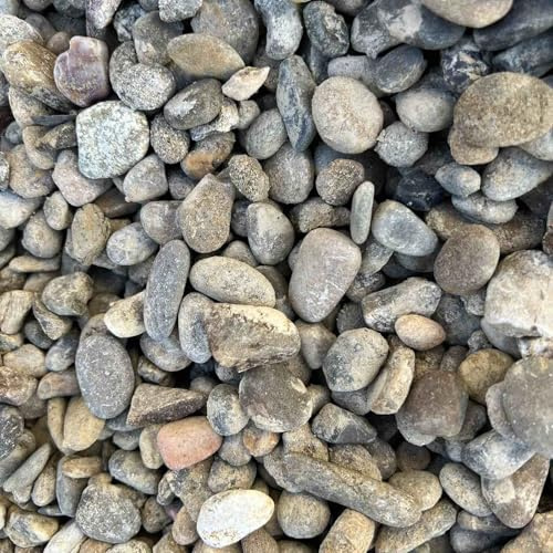World PLANTIL Gravilla Canto Rodado/Grava de Jardín/Piedra Natural/Saco 20 kg/Piedra decorativa/Exterior - interior (12/20 mm)