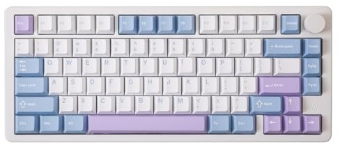 GK GAMAKAY TK75PRO Aluminium Mechanische Tastatur, 75% Kabellose RGB Gaming Tastatur Bluetooth/2.4GHz/USB KTT Hyacinth Switch Programmierbare und Hot Swappable (Weiß)