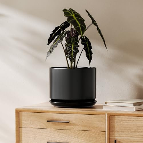 LE TAUCI Blumentopfe Keramik, 20cm, mit Untersetzer & Drainageloch, Schwarz | Übertopf für Zimmerpflanzen, Blumentopf mit Integrierter Untersetzer, Drainagelöchern, Pflanztopf Set für Wohnzimmer & Büro