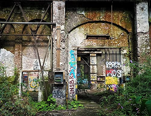 hansepuzzle 64273 - Lost Places Puzzle 1000 Teile | Orte Puzzle mit hochwertiger Puzzle Aufbewahrung: Kartonbox und Wieder verschließbarem Beutel | Puzzle-Maße: 60 x 46 cm