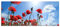 Pixxprint Glasbild Panorama, Wandbild aus Echtglas, Mohnblumen, 100x40 cm, inkl. Aufhängung und Abstandshalter