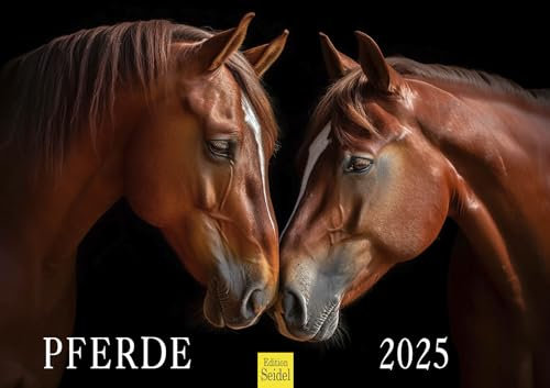 Edition Seidel Premium Kalender Pferde 2025 Format DIN A3 Wandkalender Pferdekalender Tiere Fohlen Stute Hengst Pony