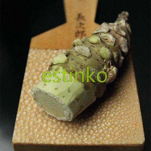 Semi Wasabi 100pcs/bag Semi di rafano giapponese di verdure Wasabia Japonica Casa Giardino Bonsai Piante fai da te