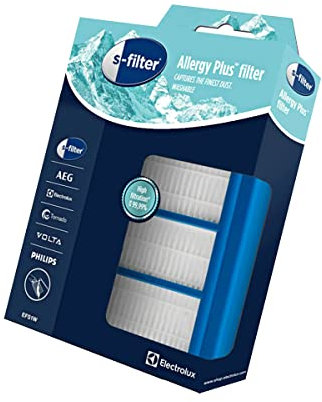 Filtre Hepa EFS1W original S-filter Allergy Aspirateur 9001677688 ELECTROLUX Aspirateur 9001677688 ELECTROLUX