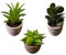 Zen&Tao Artificial Succulent Plants in Pots Eco-Friendly Planters Small Sizes Different Variety for Home and Office Decors (Option E)