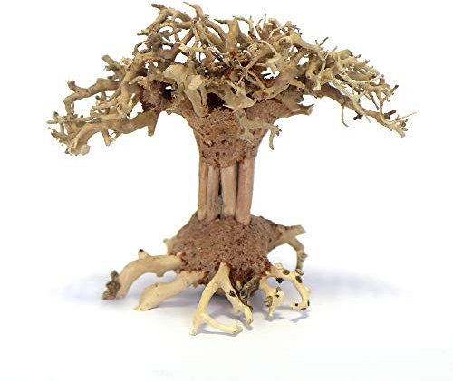 Bonsai Tree Pagoda Aquarium Fish Tank AquaScape Hand Picked & Hand Carved (Small 10cm)