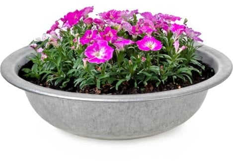matches21 Zinc Bowls zinc Bowl Planter 1 pcs. Traditional Decorative Metal Bowl - Ø 35x9,5 cm
