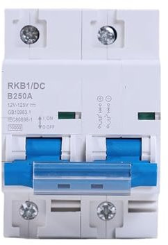 MJINA Disjoncteur DC Disjoncteur 2P 80A 100A 125A 150A 200A 250A DC 12V 24V 48V 60V 72 96V, Interrupteur de Protection de Batterie for Cellule Solaire RV Yacht Scooter(100A)