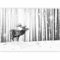 murando - Papier peint panoramique animal 450x315 cm - Revêtement mural décoration salon - Design moderne - Gris blanc - Arbres cerfs forêt nature ohdeer tendances hiver animaux g-B-0143-a-b