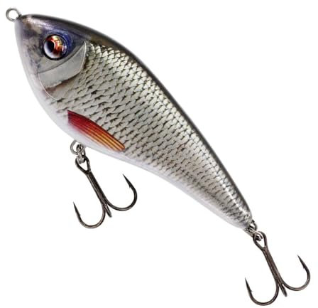Westin Swim Glidebait Suspending 8cm 16g - Jerkbait, Farbe:Real Roach