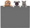 Largest Dog Food Mat, 39.5x29.5 Silicone Dog and Cat Mat for Food and Water Bowls, Thinken Waterproof Non-Slip XXXL Pet Feeding Mat for Floors (Dark Gray)