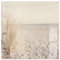 timalo Küchenbild aus Acrylglas modernes Wandbild Glasbild Deko Küche XXL Acryl-Bild wie Glas | 60x60cm Meer Düne Pampasgras Sand Strand Nordsee