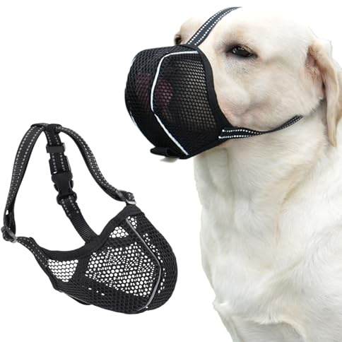 Maulkorb Hund, Fressschutz für Hunde, Atmungsaktives Mesh Design mit Reflektorstreifen, Verstellbare Hundemaske – Verhindert Kauen, Fressen & Beißen, für Kleine Rassen (Schwarz)