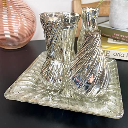 5 Piece Mercury Ensemble Vase Set Crackle Silver Glass Plant Pot Bottles Plate