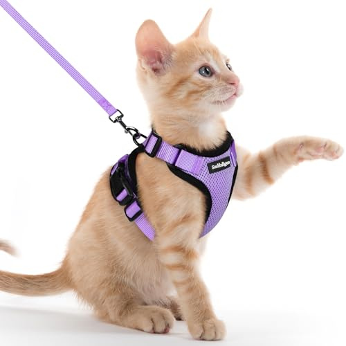 rabbitgoo Cat Harness and Lead Set, Escape Proof Vest, Light Purple | Soft Breathable Mesh, Adjustable Fit, Snap Buckles, Reflective Strips, with 1.5m Lead for Kittens & Small Cats Walks, XXS
