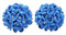 Blau Hortensie Macrophylla Blumen Ohrringe 3D Polymer Ton 925 Sterling Silber Ohrstecker Damen Handmade