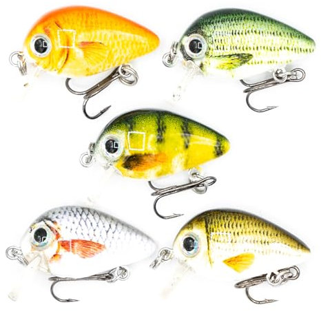 Mister Tackle BX-2 Angelköder Mini Wobbler Set Crankbaits für Barsch und Forelle Spinnfischen - 5 Kunstköder Inklusive Box