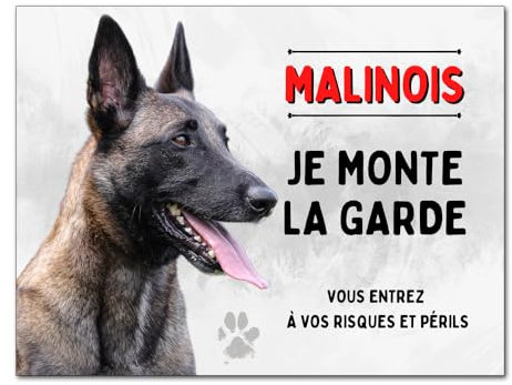 Plaque Malinois attention au chien panneau berger belge pancarte je monte la garde porte d'entrée en aluminium 15x20cm