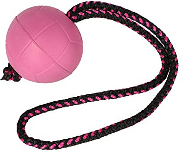 Dingo Bäll BIBI für Training # 70 mit Griff 30 cm Farbe Beere schwimmend Bäll Kautschuk Gummi Apport Spiel mit Hund 17251