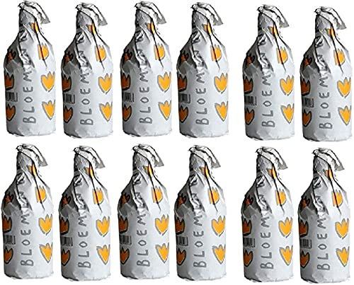 BROUWERIJ DE PROEF 24 Bottiglie Birra Bloemenbier 33 cl Belga Bionda Giallo Dorato Belgio Artigianale Luppolo Malto, Birra Bloemenbier 24 Bottiglie - 7,92 Litri
