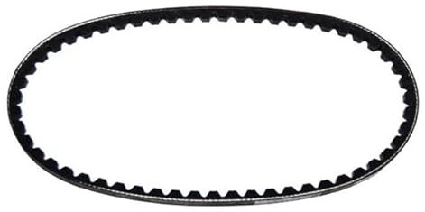 COURROIE SERVICES ALTERNATEUR AIXAM MICROCAR CHATENET JDM YANMAR KUBOTA 10X825mm Universel