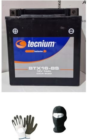 KOMPATIBEL MIT Kawasaki ZR Zephyr 1100 pro Jahr 1992 al 1995 Batterie YTX16-BS TECNIUM BTX16-BS BEREITS BEREIT VERSENDET UND Batterie LADEGERÄT 14 AH Ampere 12 Volt 150X87X161MM