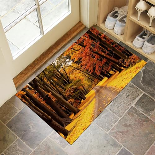CEDNXOER Orange Fußmatte Innen 50x80 cm Herbststraße, Waschbar Eingangsteppich, Abgefallene Blätter Wald Schmutzfangmatte rutschfest, Kurzflor Türmatte Teppich für Eingang, Haustür, Flur