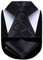HISDERN Krawatte für Herren Schwarz Formelle Klassische Karierte Krawatten mit Einstecktuch Hochzeit Herrenkrawatte und Taschentuch Set für Männer