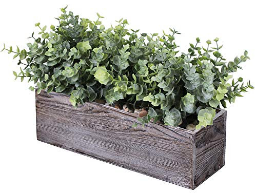 Plantes d'eucalyptus artificielles dans une boîte rectangulaire rustique en bois - Arrangement de verdure artificielle en pot - Vert poussiéreux - Pour décoration de mariage, bureau, chambre, table,