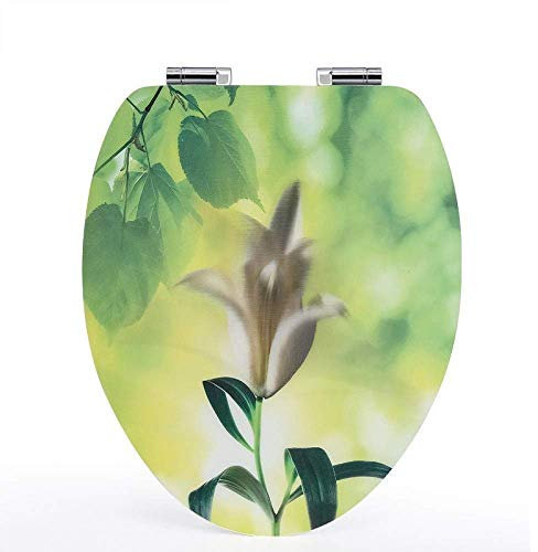Abattant de WC 3D avec Couvercle de Toilette antibactérien muet, Facile à Installer, Compatible avec Montage sur Le Dessus (A 36 x 44 cm)