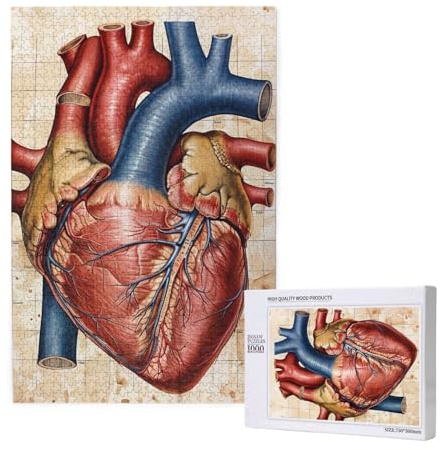 Intelligenz-Puzzle aus Holz, Motiv: menschliche Anatomie, 50 x 75 cm, 1000 Teile (verpackt), Lernspiel für Erwachsene, Heimdekoration, Puzzle