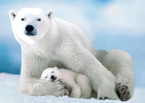 Jigsaw Puzzles for Adults 1000 Piece Polar Bear and Baby 27.56 x 19.69 Inch Jigsaw Puzzles for Adults Educational Game Challenge Toy 1000 Pieces Puzzle for Adult