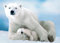 Jigsaw Puzzles for Adults 1000 Piece Polar Bear and Baby 27.56 x 19.69 Inch Jigsaw Puzzles for Adults Educational Game Challenge Toy 1000 Pieces Puzzle for Adult
